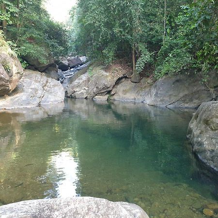 Gallene Gala Nature Resort คิตุลกาลา ภายนอก รูปภาพ