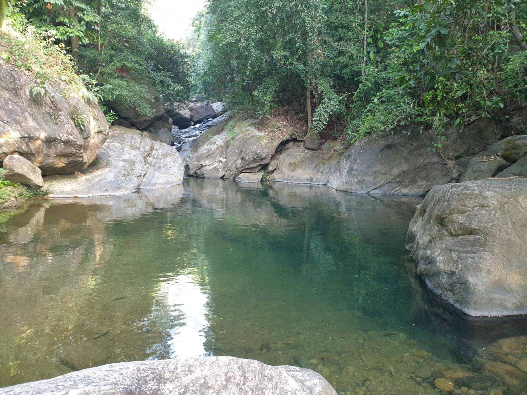 Gallene Gala Nature Resort คิตุลกาลา ภายนอก รูปภาพ