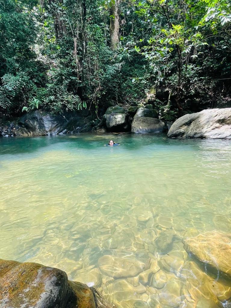 Gallene Gala Nature Resort คิตุลกาลา ภายนอก รูปภาพ