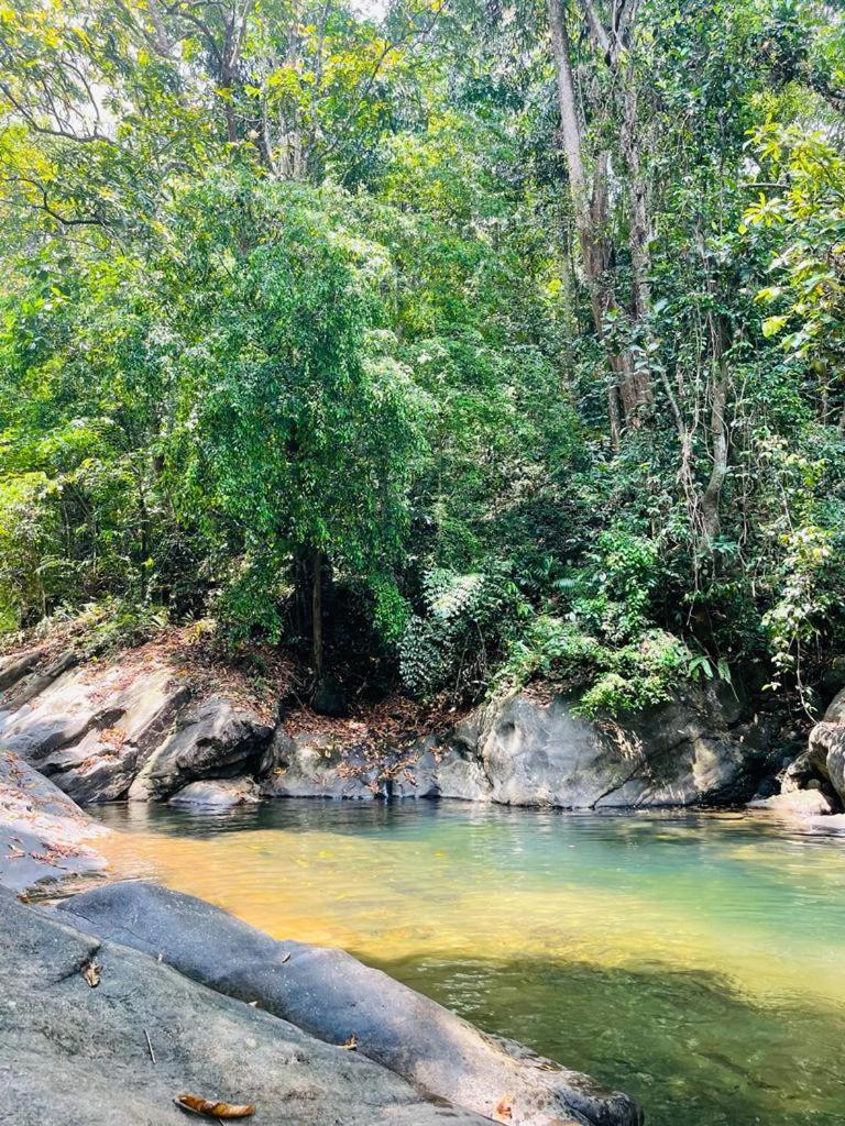 Gallene Gala Nature Resort คิตุลกาลา ภายนอก รูปภาพ