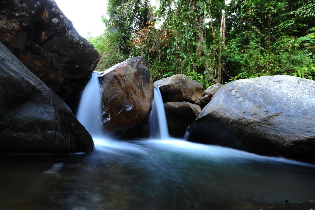 Gallene Gala Nature Resort คิตุลกาลา ภายนอก รูปภาพ