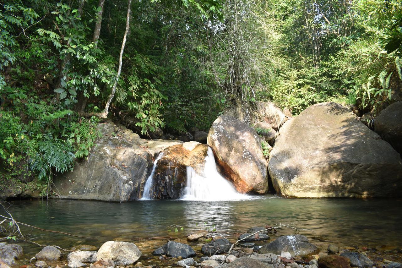 Gallene Gala Nature Resort คิตุลกาลา ภายนอก รูปภาพ