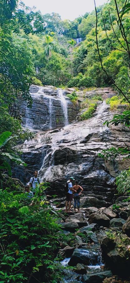 Gallene Gala Nature Resort คิตุลกาลา ภายนอก รูปภาพ